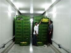 Cold Storage Houses