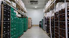 Cold Storage Systems