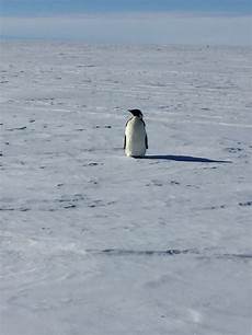 Deepfreeze Units
