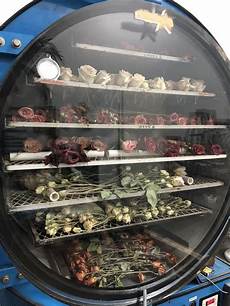 Freeze Dryer