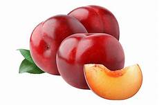 Freeze Plums