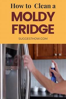 Freezer Storage