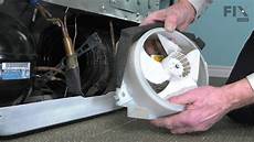 Refrigerator Compressor