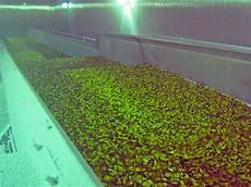 Tunnel Freezers